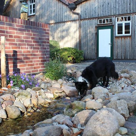 Landgasthof Wildwasser Wolthausen Εξωτερικό φωτογραφία