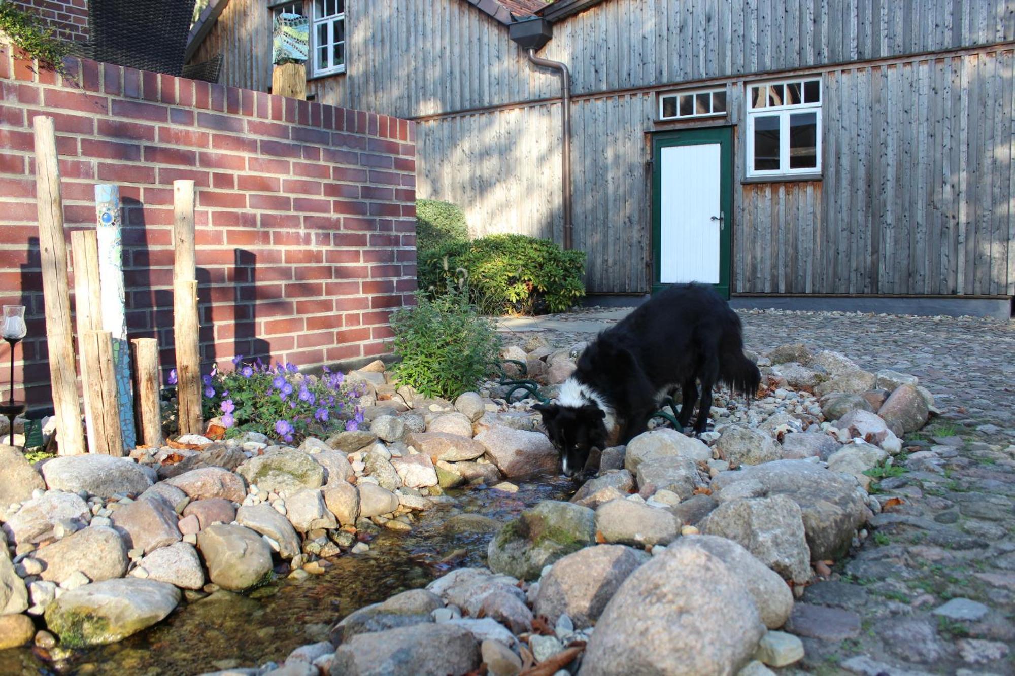 Landgasthof Wildwasser Wolthausen Εξωτερικό φωτογραφία